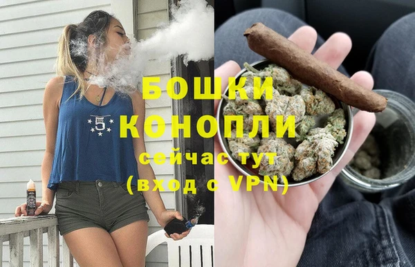 молекула духа Липки