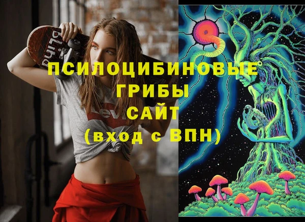 молекула духа Липки