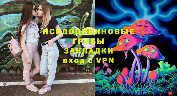молекула духа Липки